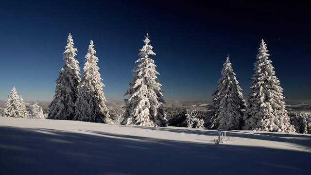 Snowy landscape trees blue sky #7 free wallpaper for desktop - medium preview image