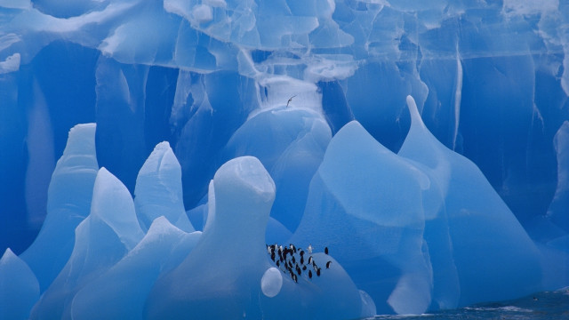 Penguins glacier ice chunks ecological free wallpaper for desktop - medium preview image