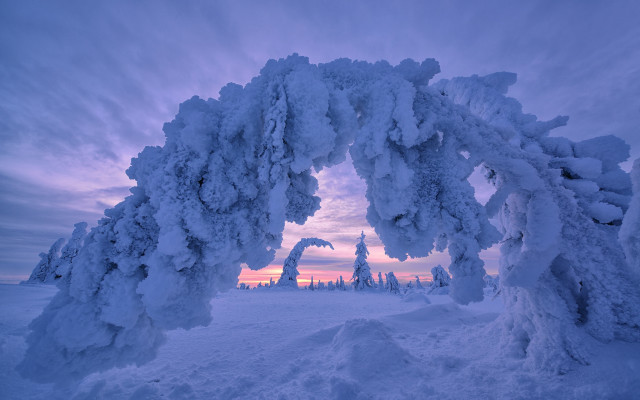 Snow arch winter pink sunset free wallpaper for desktop - medium preview image