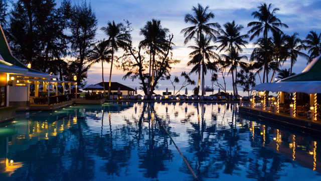 Dusk pool lights palm trees free wallpaper for desktop - medium preview image