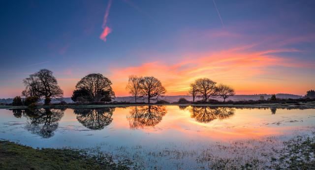 Sunset trees water reflections city free wallpaper for desktop - medium preview image