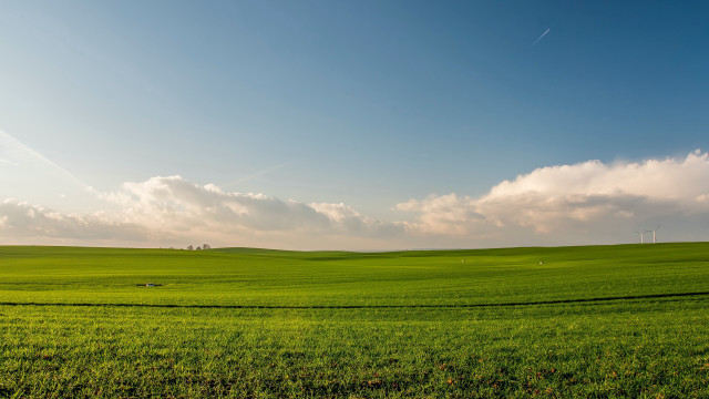 Green field clouds cows matte free wallpaper for desktop - medium preview image