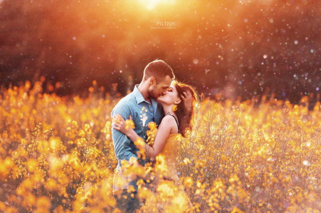 Sunset couple kissing field flowers free wallpaper for desktop - medium preview image