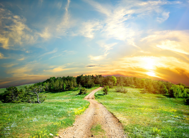 Dirt road sunset forest field free wallpaper for desktop - medium preview image
