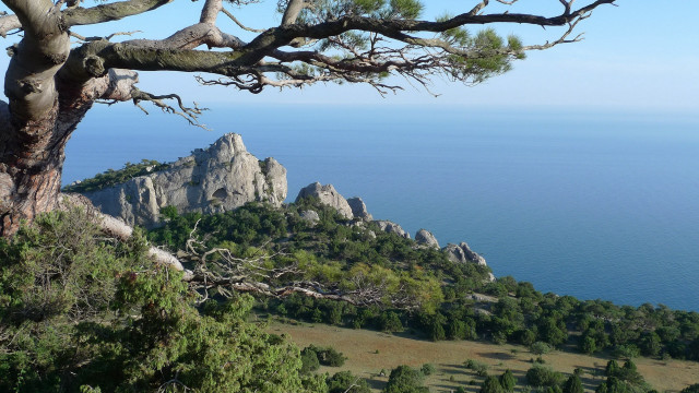 Tree hill ocean mountains blue free wallpaper for desktop - medium preview image