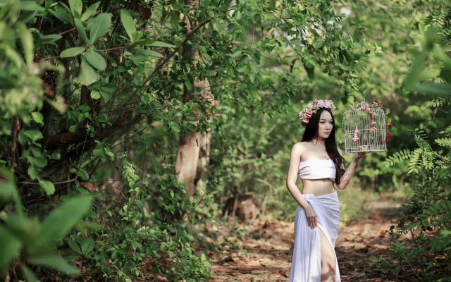 Woman white dress bird cage free wallpaper for desktop - medium preview image