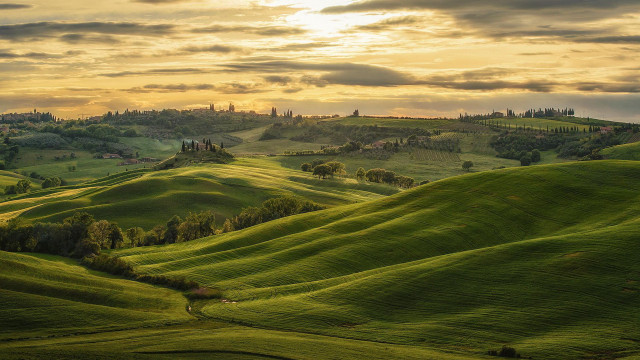 Green field trees hills sunset free wallpaper for desktop - medium preview image