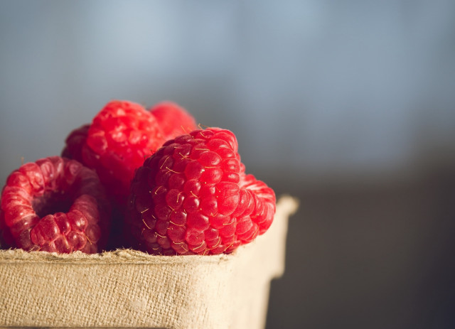 Raspberries still life food closeup free wallpaper for desktop - medium preview image