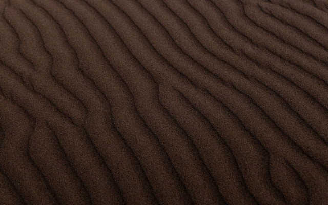 Sanddune bird brown background postminimalism free wallpaper for desktop - medium preview image