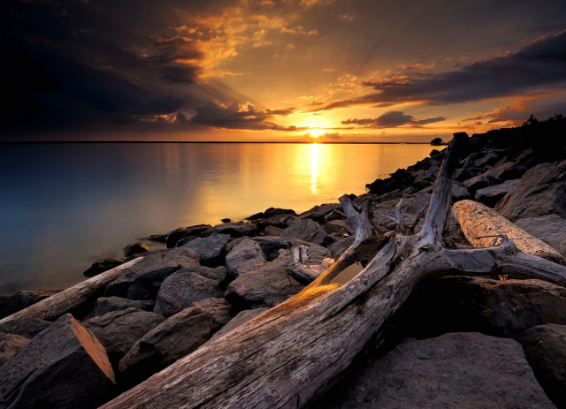 Sunset water tree branch clouds free wallpaper for desktop - medium preview image