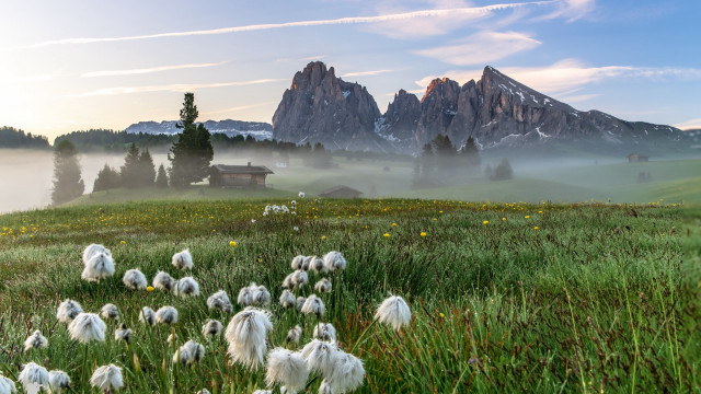 Field house mountains fog flowers free wallpaper for desktop - medium preview image