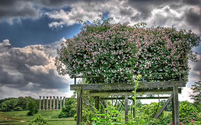 Wooden structure bush field cloudy free wallpaper for desktop - medium preview image