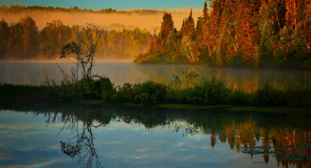 Lake fog autumn leaves forest free wallpaper for desktop - medium preview image