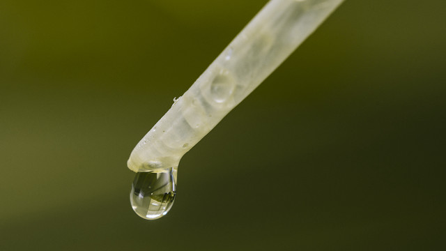 Water drop plastic tube green free wallpaper for desktop - medium preview image