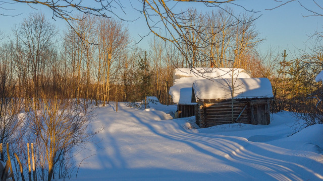 Snowy cabin forest bare trees free wallpaper for desktop - medium preview image