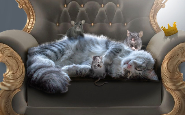 Cat mouse lay back beatrix free wallpaper for desktop - medium preview image