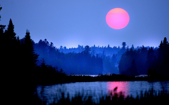 Sunset lake trees moon magic free wallpaper for desktop - medium preview image