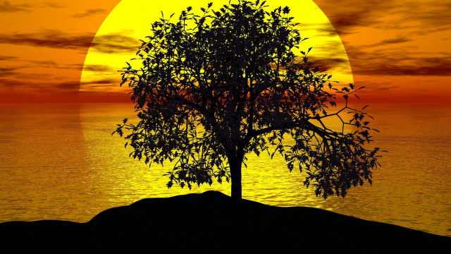 Sunset moon tree ocean horizon free wallpaper for desktop - medium preview image