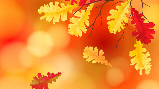 Autumn leaves blurry background campfire free wallpaper for desktop - medium preview image