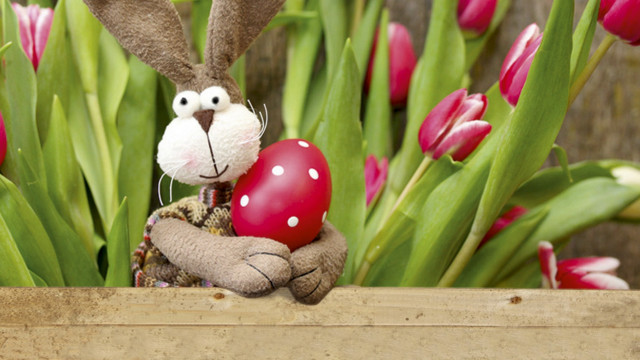 Stuffed rabbit red heart wooden #2 free wallpaper for desktop - medium preview image