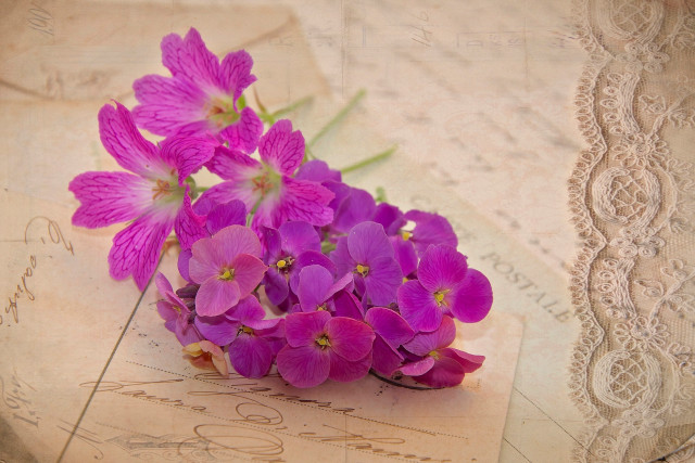 Purple flowers paper lace mail free wallpaper for desktop - medium preview image
