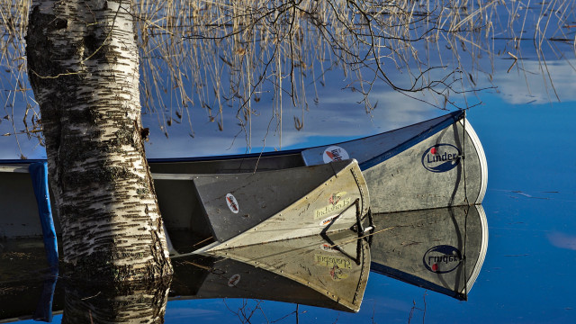 Boat tree branch bare night free wallpaper for desktop - medium preview image