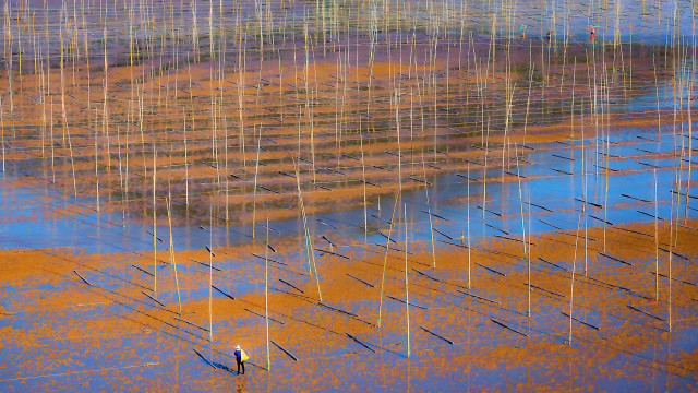 Man field poles blue sky free wallpaper for desktop - medium preview image