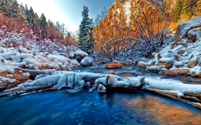 Winter forest snow ice river free wallpaper for desktop - medium preview image