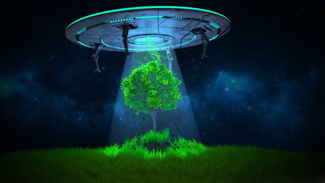 Green tree midfield ufo light free wallpaper for desktop - medium preview image