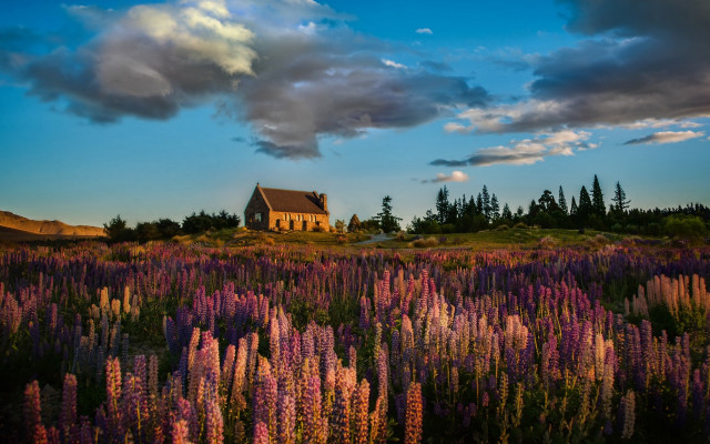 Flower field house clouds impressionist free wallpaper for desktop - medium preview image