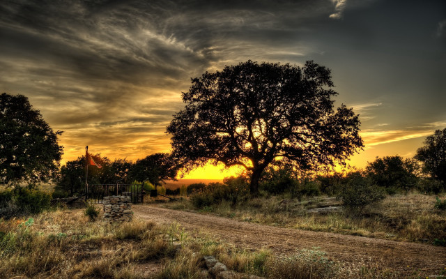 Dirt road sunset tree clouds #2 free wallpaper for desktop - medium preview image