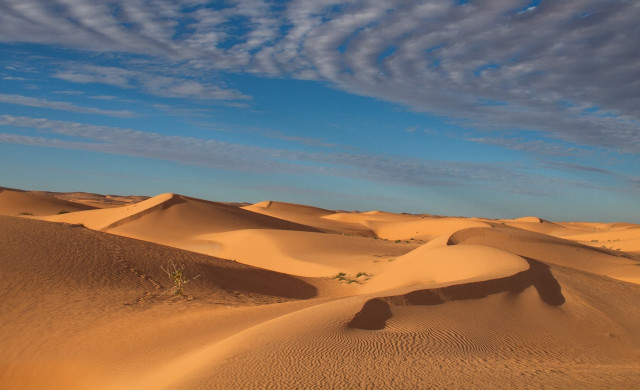 Desert clouds plant mountains beach free wallpaper for desktop - medium preview image