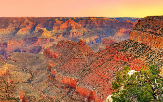 Canyon cliff tree autumn fire free wallpaper for desktop - medium preview image