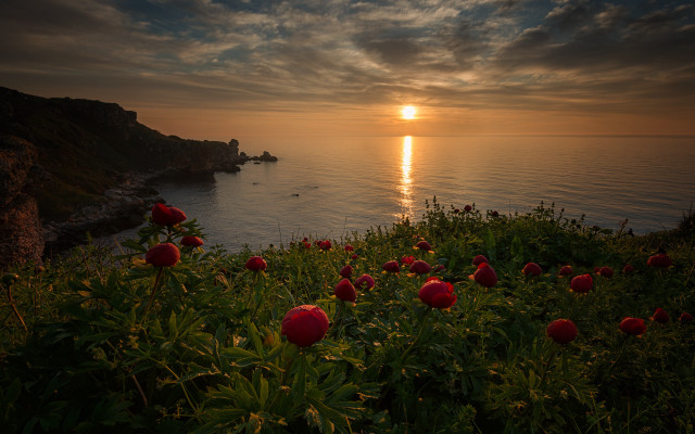 Sunset waterflowers boat mountain horizon free wallpaper for desktop - medium preview image