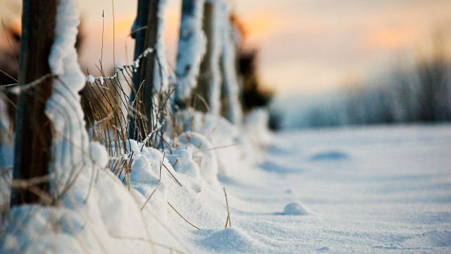Snowy fence sunset blurry ocean free wallpaper for desktop - medium preview image