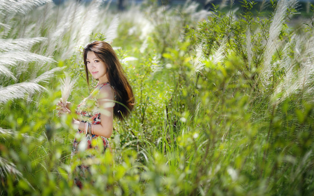 Woman field tallgrass blowinghair lookingatcamera free wallpaper for desktop - medium preview image