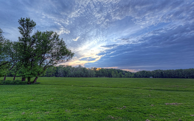 Field trees grass sunset cloudy free wallpaper for desktop - medium preview image