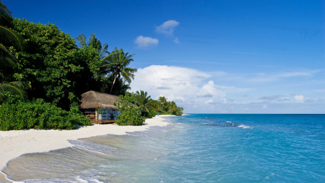 Beach hut shore water trees #2 free wallpaper for desktop - medium preview image