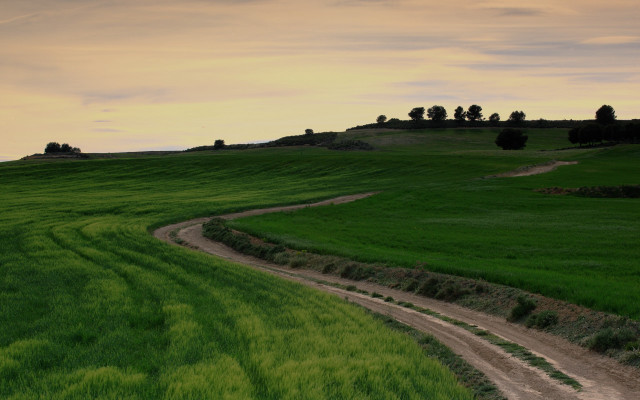 Dirt road green field hill #2 free wallpaper for desktop - medium preview image