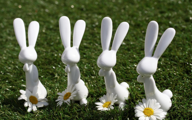 White rabbits green field daisies free wallpaper for desktop - medium preview image