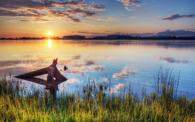 Sunset lake bird branch landscape free wallpaper for desktop - medium preview image