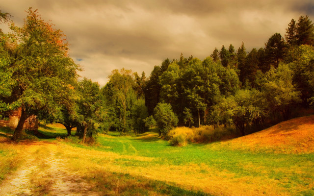 Dirt road grassy field trees #5 free wallpaper for desktop - medium preview image