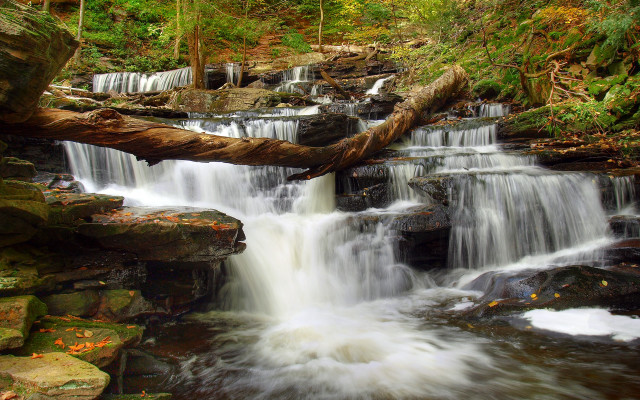 Waterfall fallen tree woods rocks free wallpaper for desktop - medium preview image