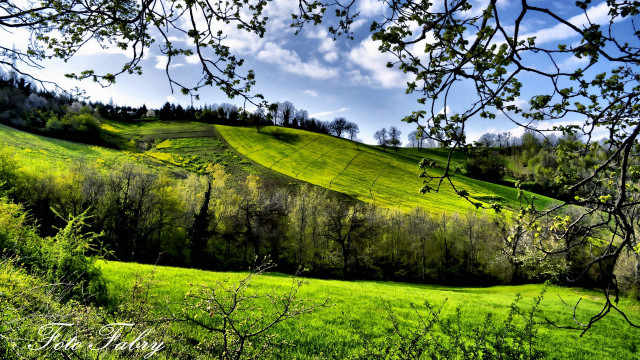 Green field trees hill clouds free wallpaper for desktop - medium preview image