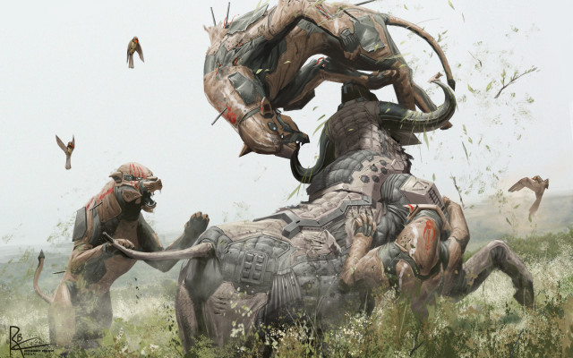 Couple animals grass birds attack free wallpaper for desktop - medium preview image