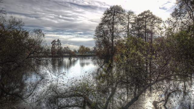 Lake trees cloudy sky impressionism free wallpaper for desktop - medium preview image