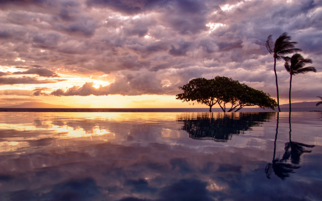 Sunset tree water reflection clouds #3 free wallpaper for desktop - medium preview image