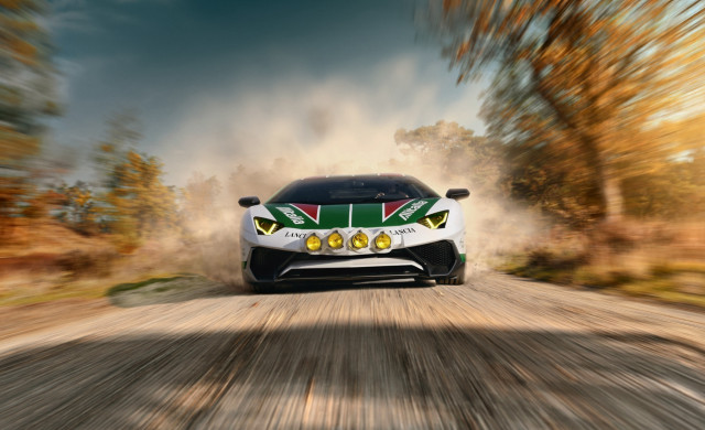 Car dirtroad trees dust bernardo free wallpaper for desktop - medium preview image