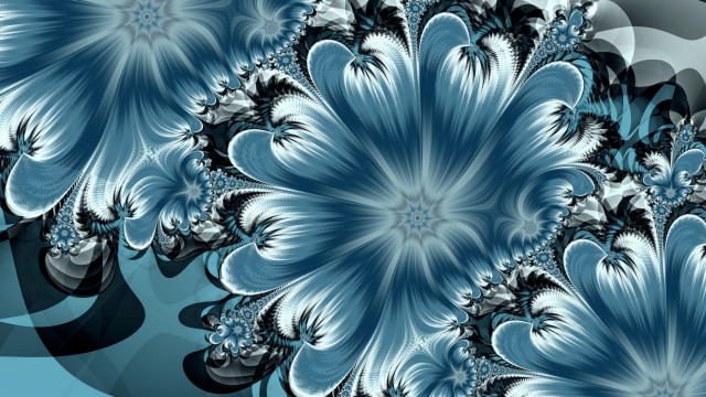 Blue white flower black background #2 free wallpaper for desktop - medium preview image