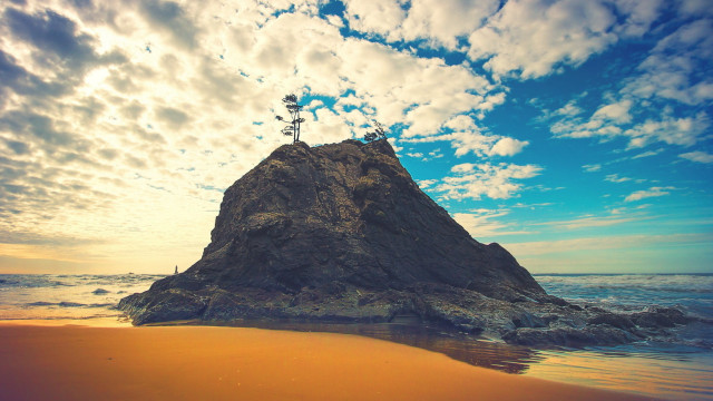 Lone tree rock beach sunset free wallpaper for desktop - medium preview image